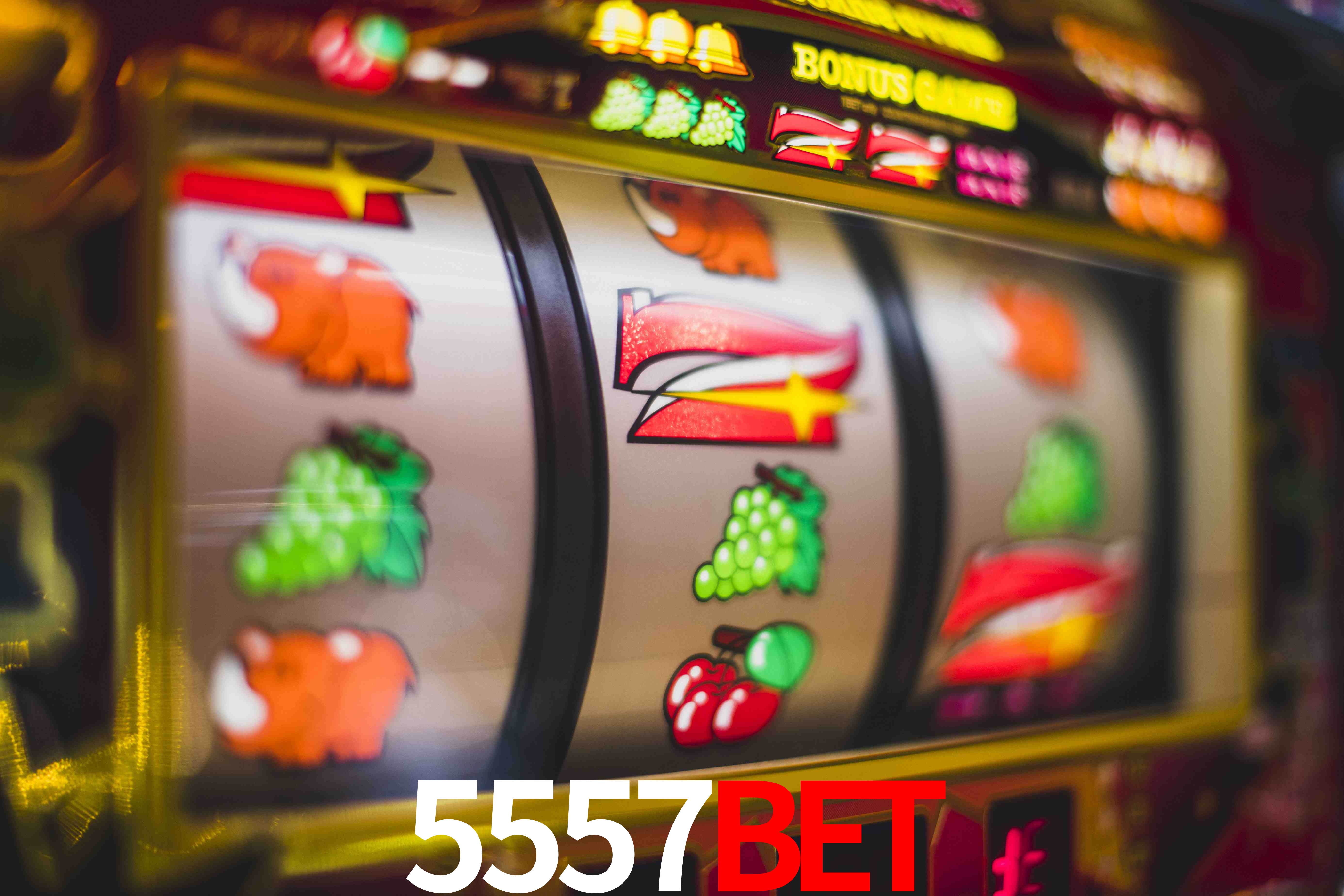 Basketball Betting 5557BET